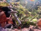 IMG_8865.jpeg