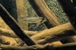 PXL_20251127_181630570-cropped.jpg