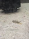 20261016_104051.jpg