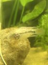 IMG_0228.jpeg