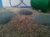 uploadfromtaptalk1378412147501.jpg