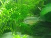 IMG_12684588752995.jpeg