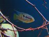 IMG_1190.JPG