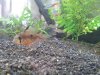 20140427_111630.jpg 20140427_111630.jpg
