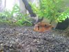 20140427_111626.jpg 20140427_111626.jpg