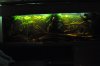 Tank 2.jpg