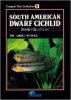 South American Dwarf Cichlid South American small cichlid Tropical Fish Collection 6.jpg