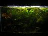 DSCN6838.JPG