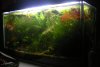 DSCN6835.JPG