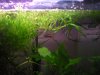 DSCN6819.JPG