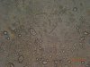 DSCN6883.JPG
