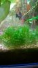 WP_20160128_20_49_04_Pro.jpg