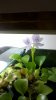 WP_20160208_15_40_29_Pro.jpg