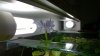 WP_20160208_15_44_29_Pro.jpg