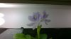 WP_20160208_16_03_51_Pro.jpg