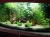 20160821_181834_001.jpg
