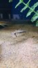 20170512_120743.jpg 20170512_120743.jpg