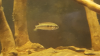 Screenshot_20180717-160120.png Screenshot_20180717-160120.png