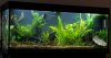240 liters.jpg 240 liters.jpg