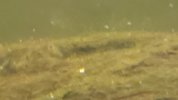 20201217_113724.jpg 20201217_113724.jpg
