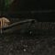 thefishman1