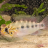 EliteAquatics